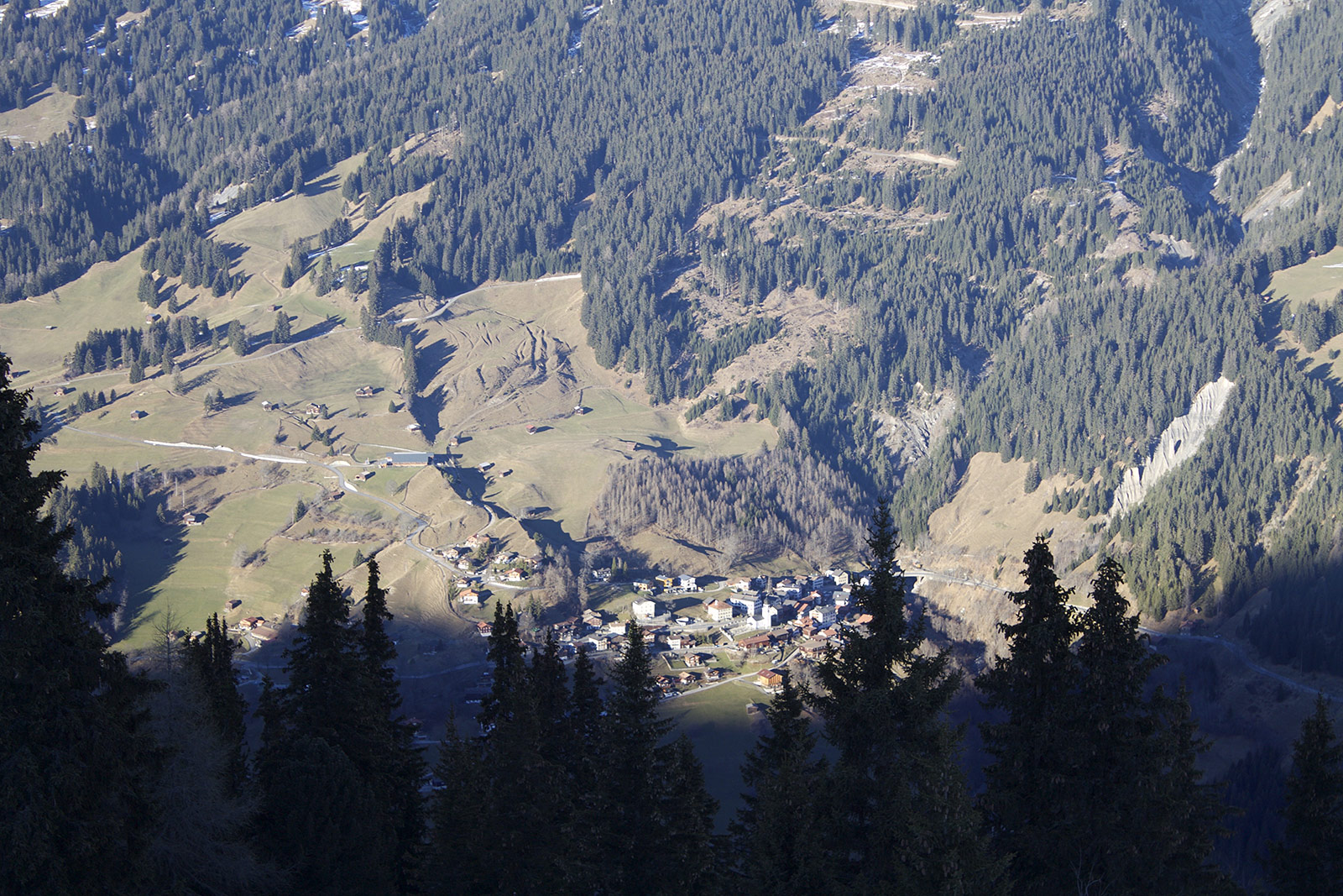Arosa